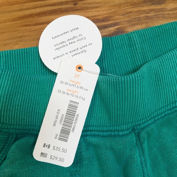 NWT Gymboree Girls Long Sleeve T-shirt and Joggers - Picture 5 of 5